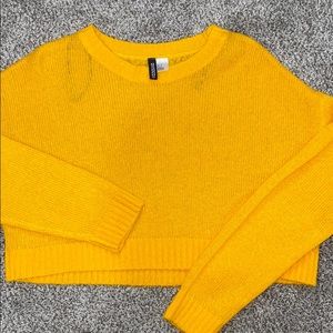 cropped sweater